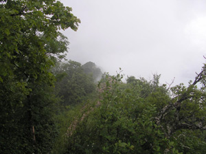Crêtes du Mont Baron dans la brume